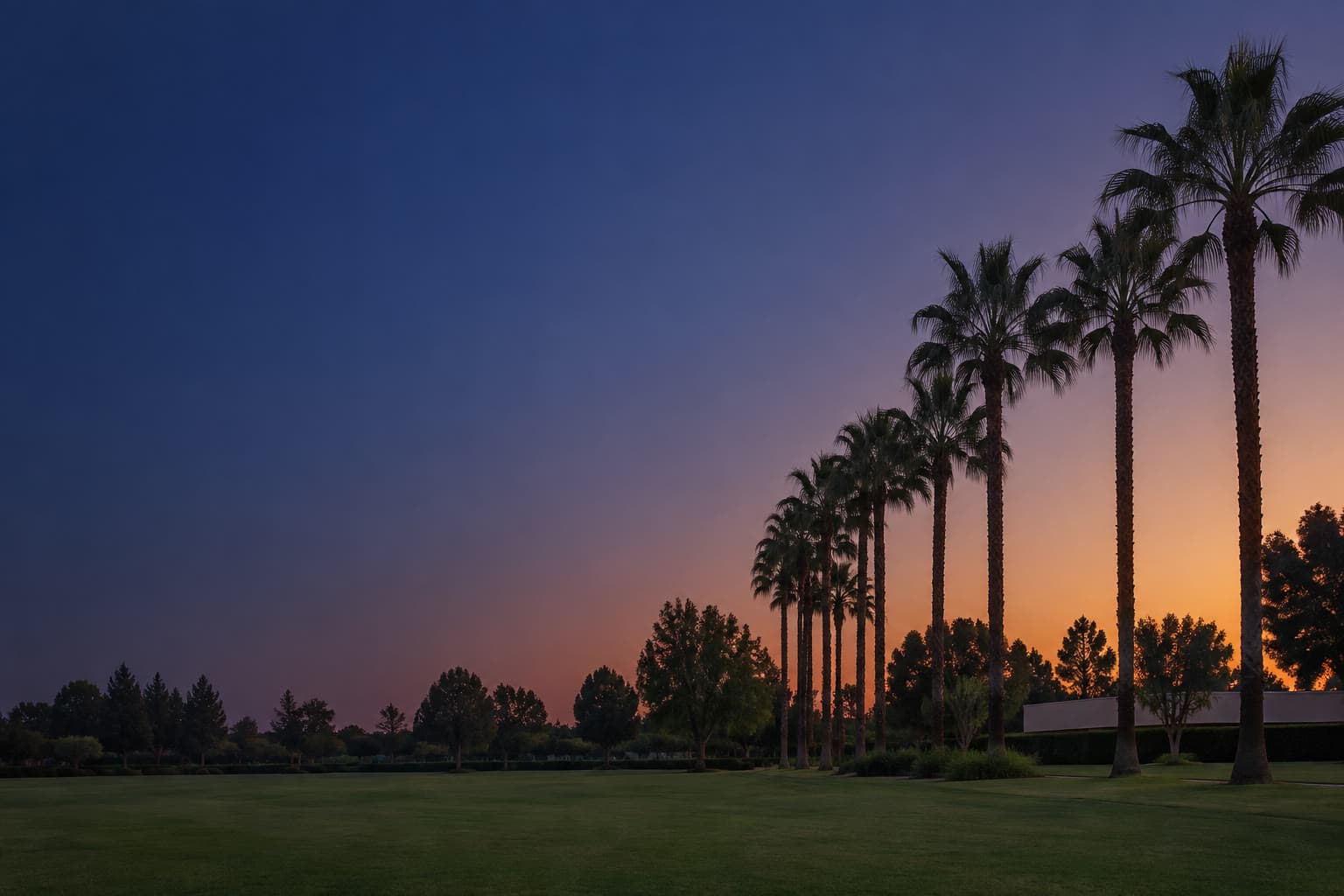 Buena Park at dusk, a row of tall palms along a lawn on the right, with a deep blue sky filling the left.