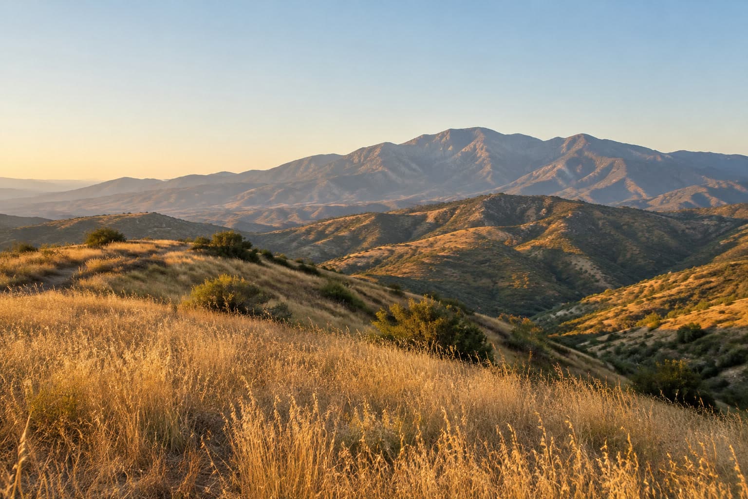 Golden dry grass on an open ridge at dawn, with the Santa Ana Mountains ahead under a clear pale sky.