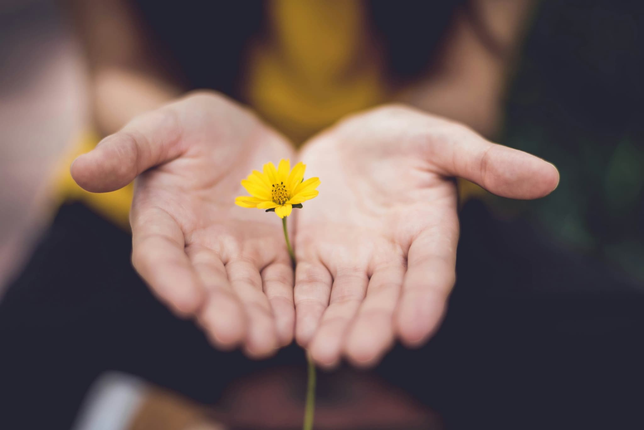 Behind Closed Doors: Confidentiality in Inpatient Treatment in Irvine, California