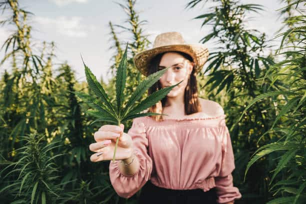 How to Detox from Cannabis: A Comprehensive Guide to Marijuana Cleanse and THC Detox